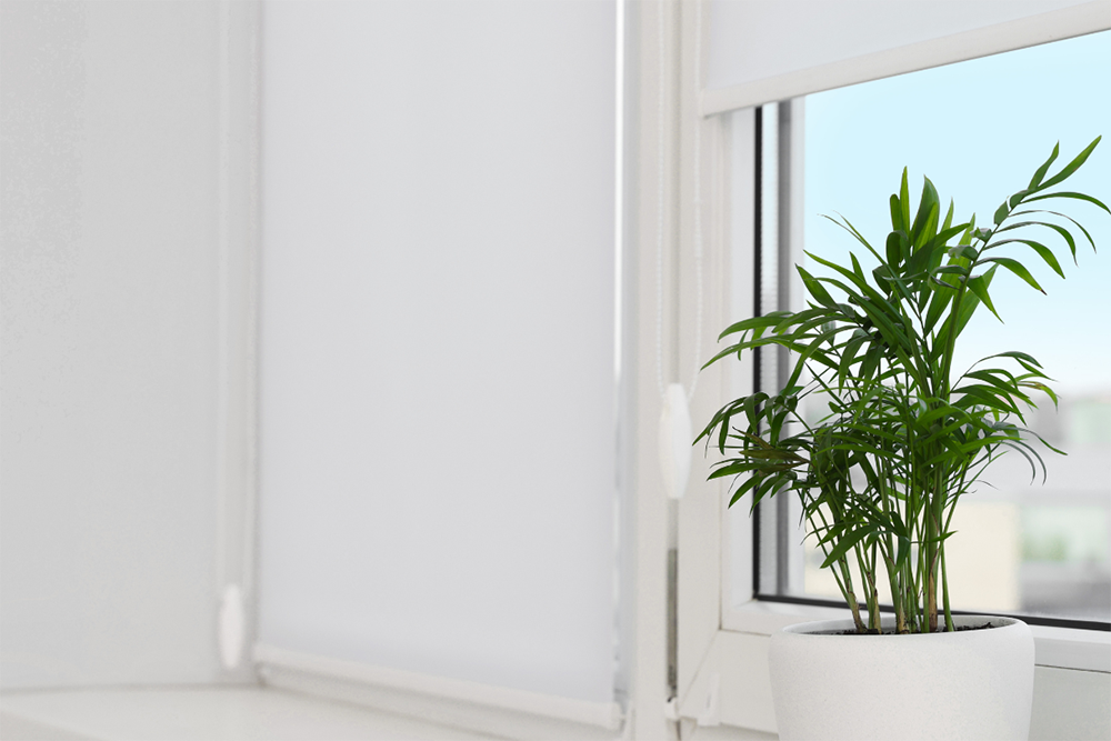 Wonder Blinds Dev