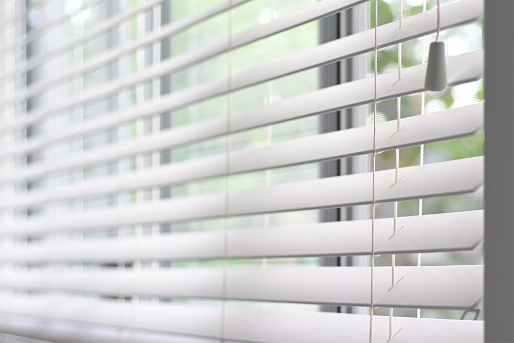 Wonder Blinds Dev