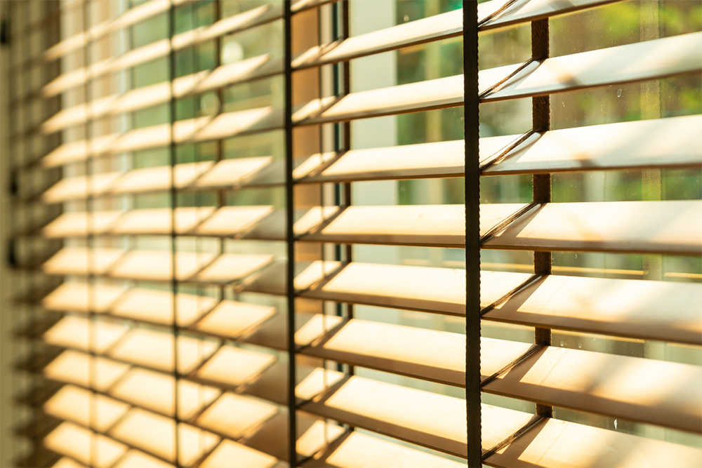 Wonder Blinds Dev